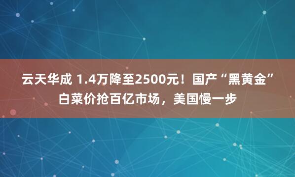 云天华成 1.4万降至2500元！国产“黑黄金”白菜价抢百亿市场，美国慢一步
