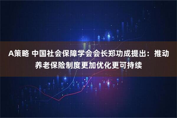 A策略 中国社会保障学会会长郑功成提出:推动养老保险制度更加优化更可持续